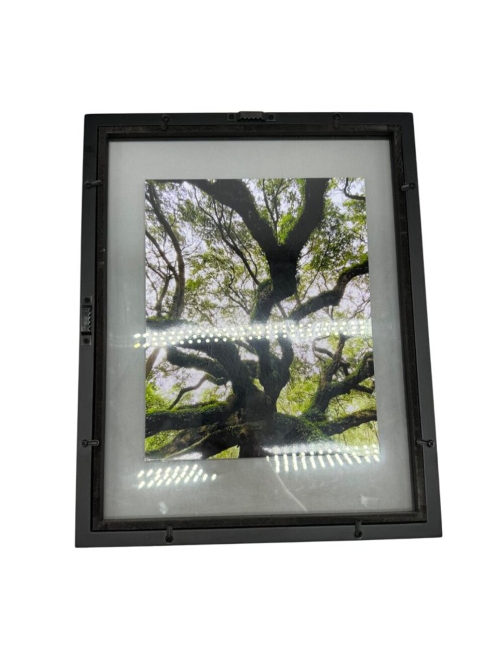 Black Metal Frame With Tree Art photo layered  nature moss 15x12" READ